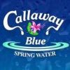 Callaway Blue Springs Water Company
